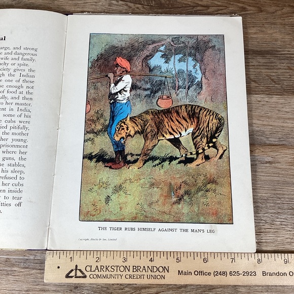 Antique Collection Children’s Books, Ephermera, Junk Journal, Scrapbook,… - Picture 4 of 12